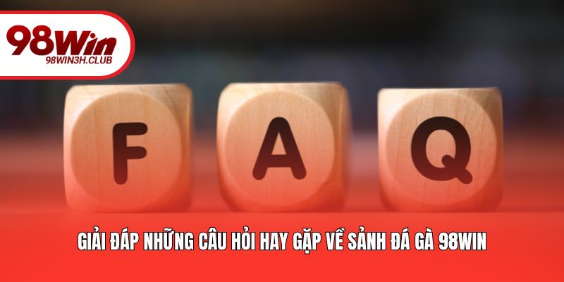 Giải đáp những câu hỏi hay gặp về sảnh đá gà 98WIN
